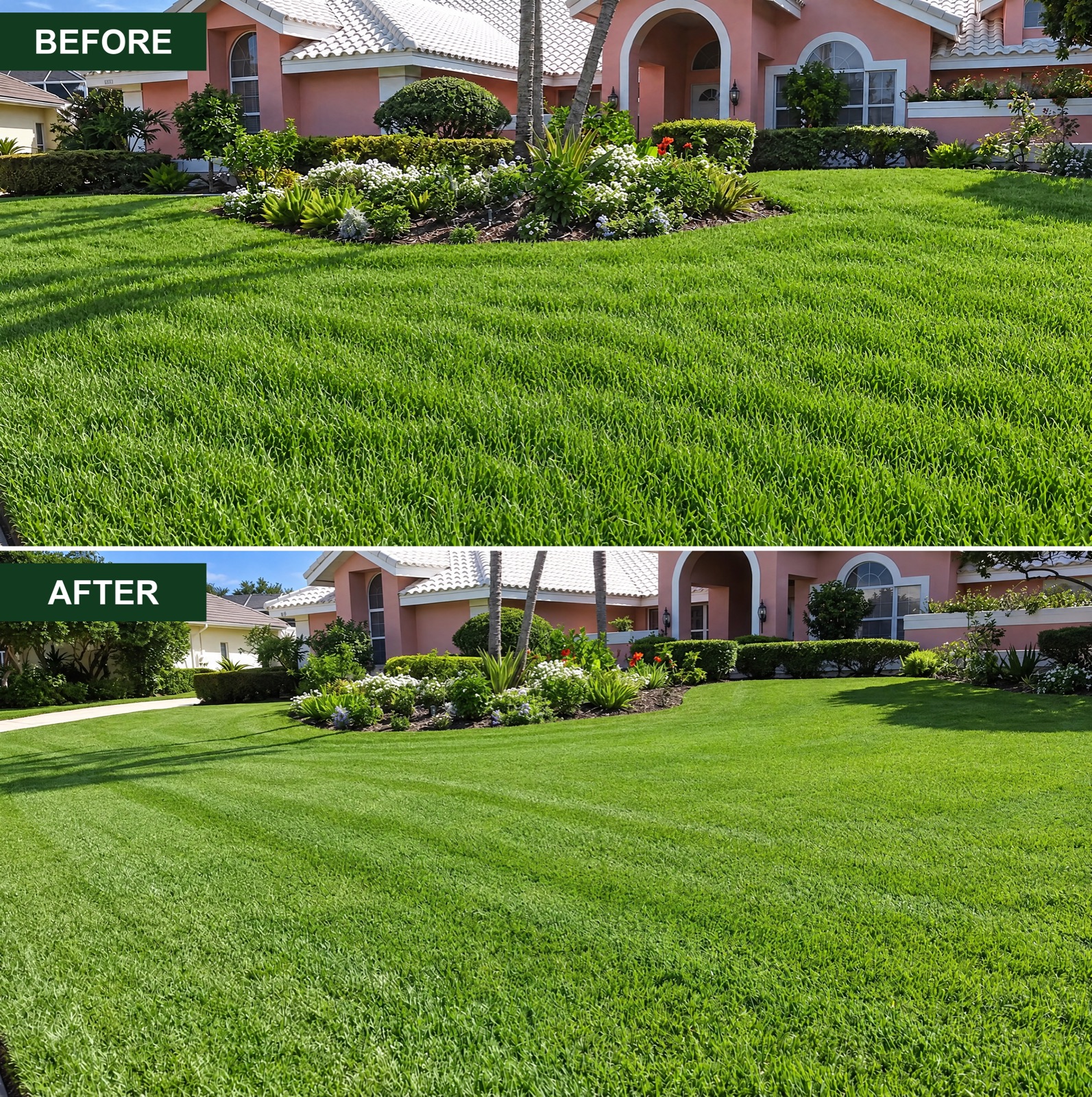 Front lawn and flower beds before and after an Arroyo’s renovation
